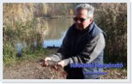11.22. - csukatelep�t�s